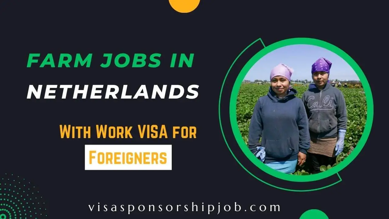 Farm Jobs in Netherlands for Foreigners