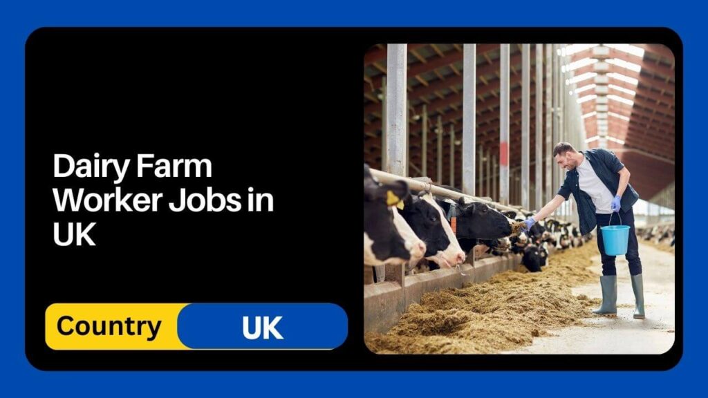 Dairy Farm Worker Jobs In Uk