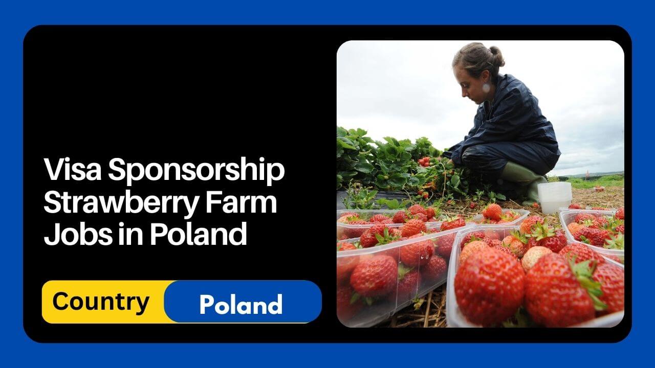 Visa Sponsorship Strawberry Farm Jobs in Poland