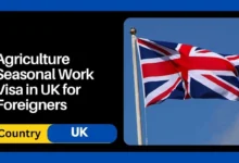 Agriculture Seasonal Work Visa in UK for Foreigners