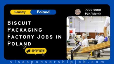 Biscuit Packaging Factory Jobs in Poland