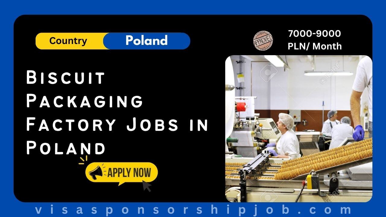 Biscuit Packaging Factory Jobs in Poland 2024 Apply Now