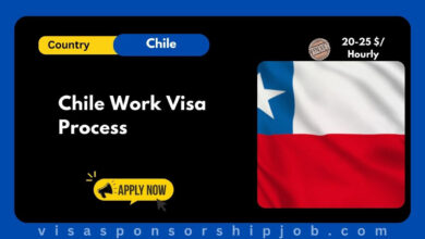 Chile Work Visa Process