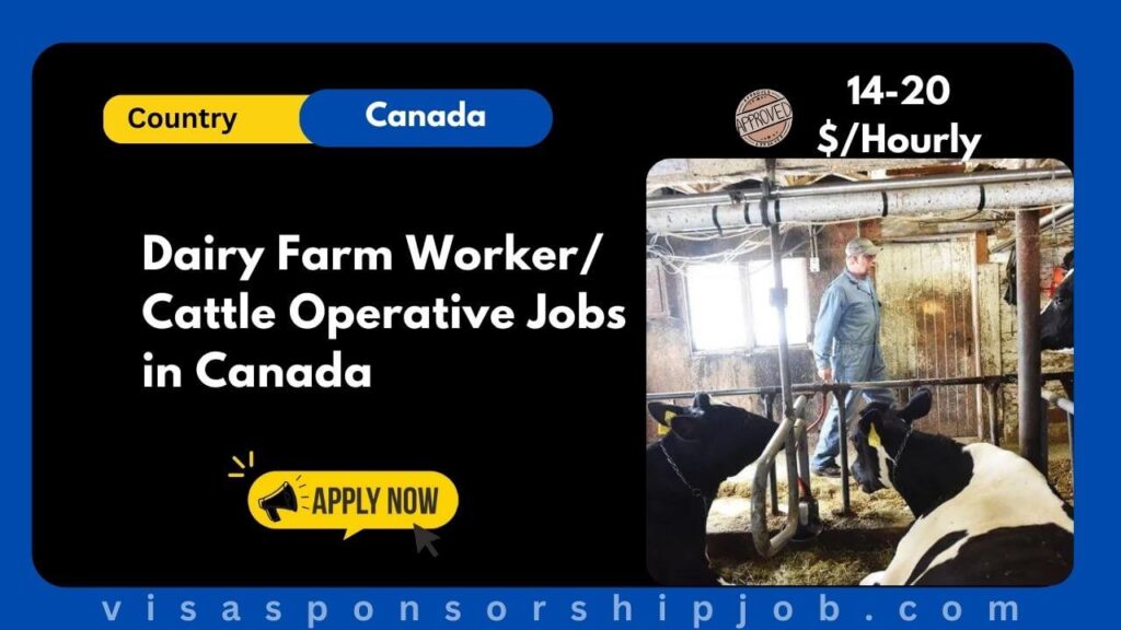 Dairy Farm Worker/ Cattle Operative Jobs in Canada