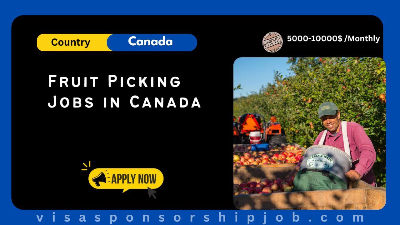 Fruit Picking Jobs in Canada