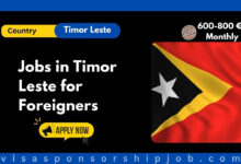 Jobs in Timor Leste for Foreigners