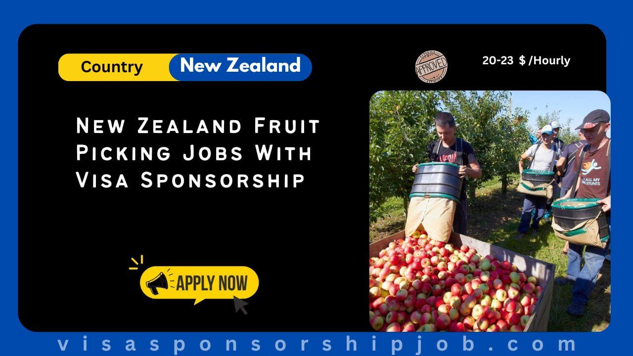 new zealand fruit picking jobs with visa sponsorship 2024