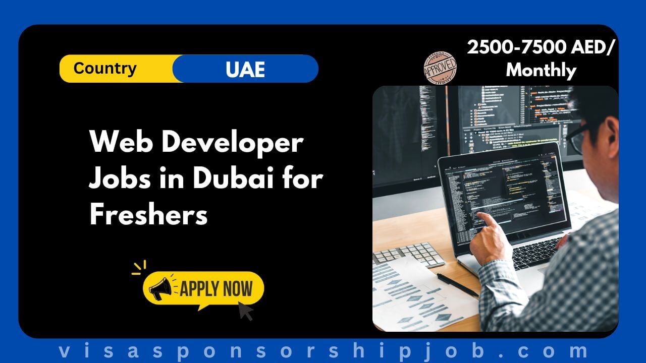 Web Developer Jobs in Dubai for Freshers