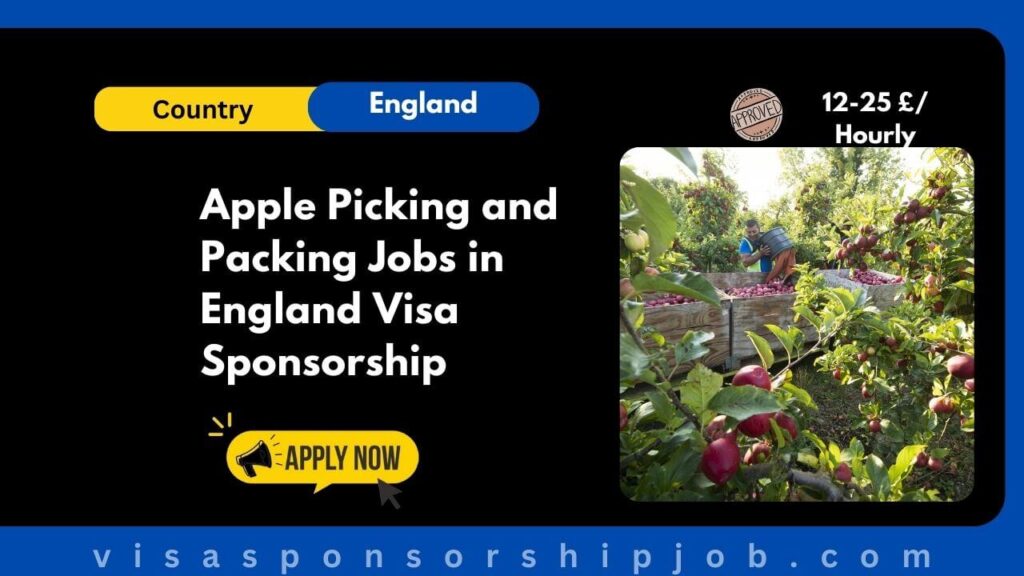 Apple Picking and Packing Jobs in England Visa Sponsorship