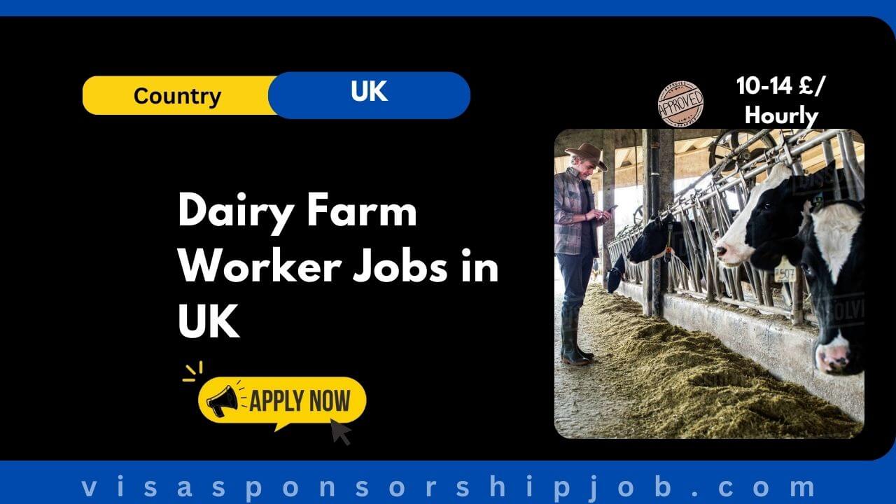Dairy Farm Worker Jobs in UK