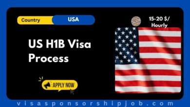 US H1B Visa Process