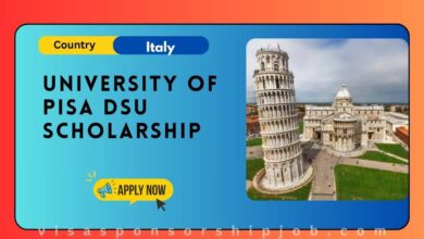 University of Pisa DSU Scholarship