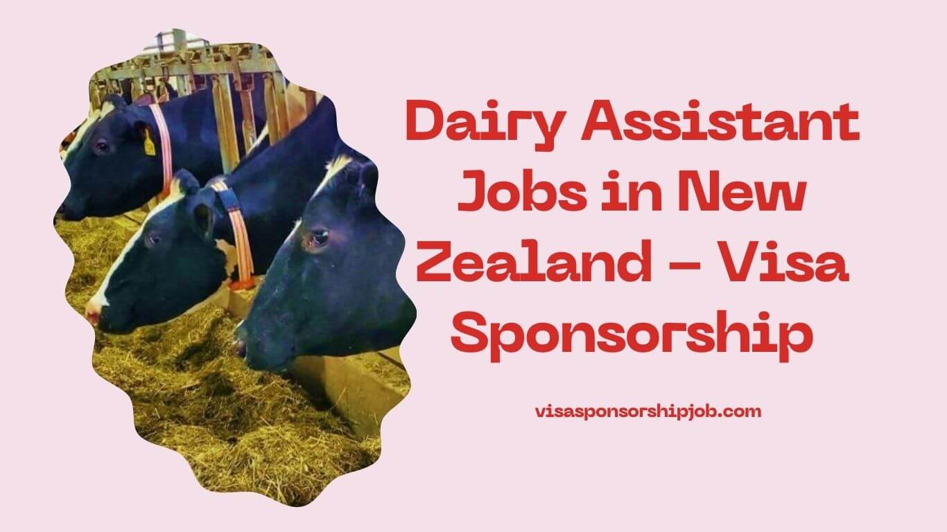 Dairy Assistant Jobs in New Zealand - Visa Sponsorship
