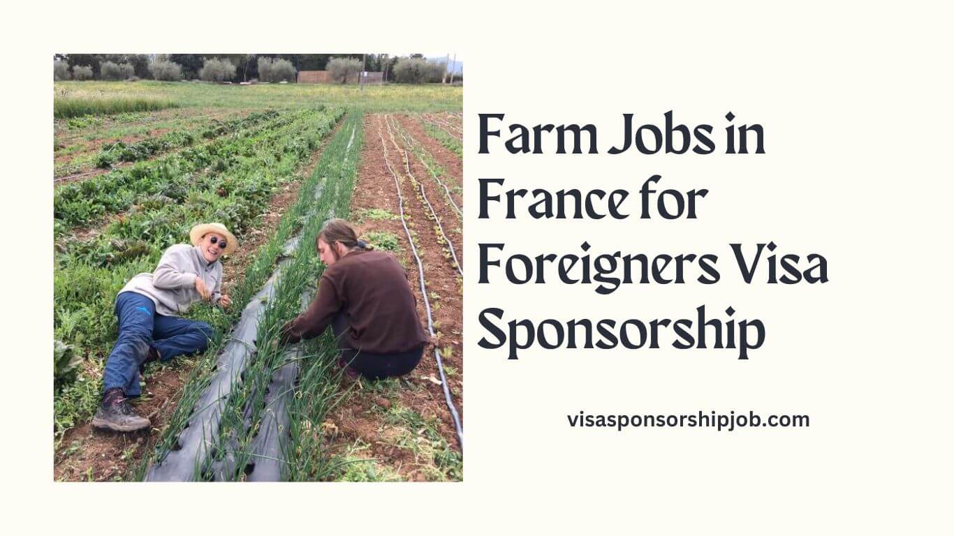 Farm Jobs in France for Foreigners Visa Sponsorship