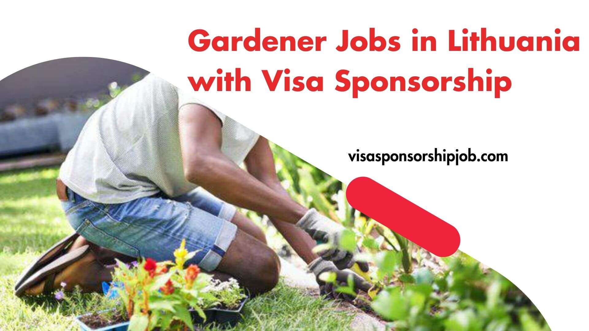 Gardener Jobs in Lithuania with Visa Sponsorship