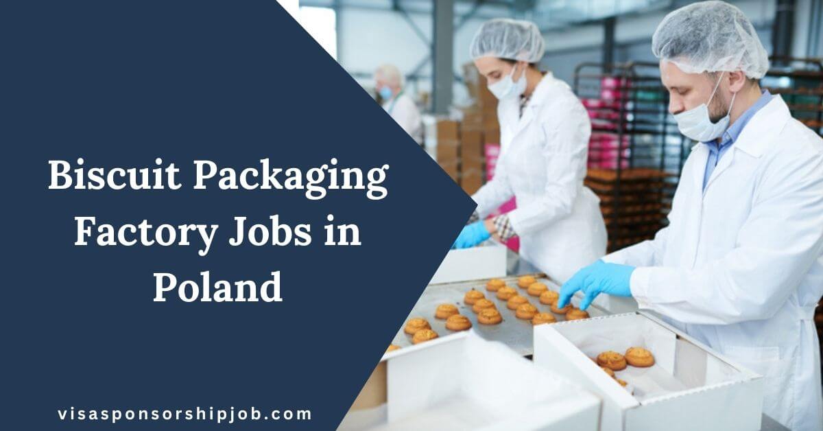 Biscuit Packaging Factory Jobs in Poland