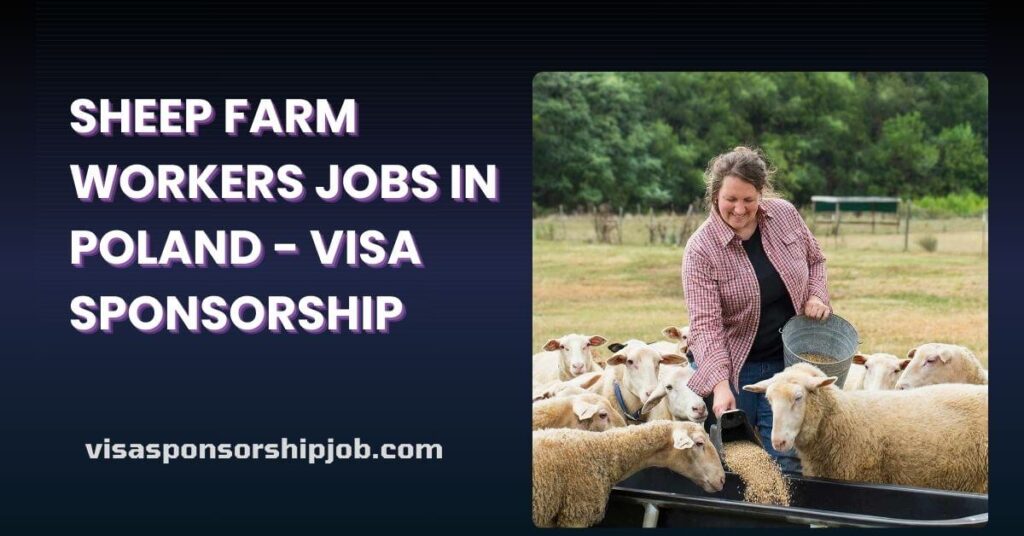 Sheep Farm Workers Jobs in Poland - Visa Sponsorship