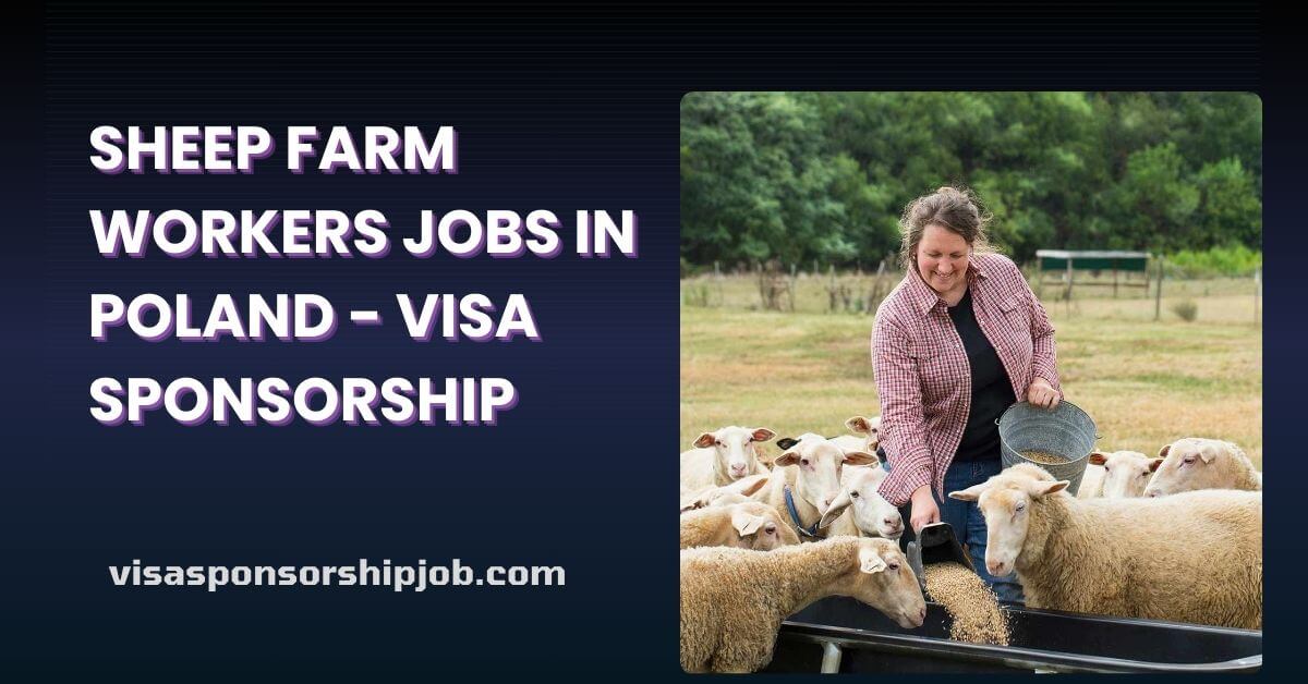 Sheep Farm Workers Jobs in Poland - Visa Sponsorship