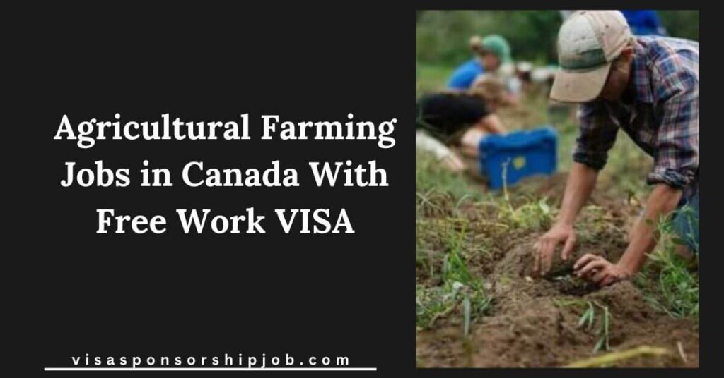 Agricultural Farming Jobs in Canada With Free Work VISA