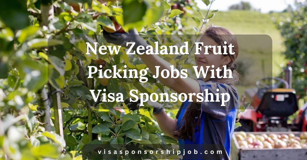 New Zealand Fruit Picking Jobs With Visa Sponsorship