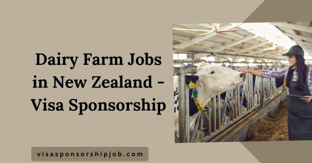Dairy Farm Jobs in New Zealand - Visa Sponsorship