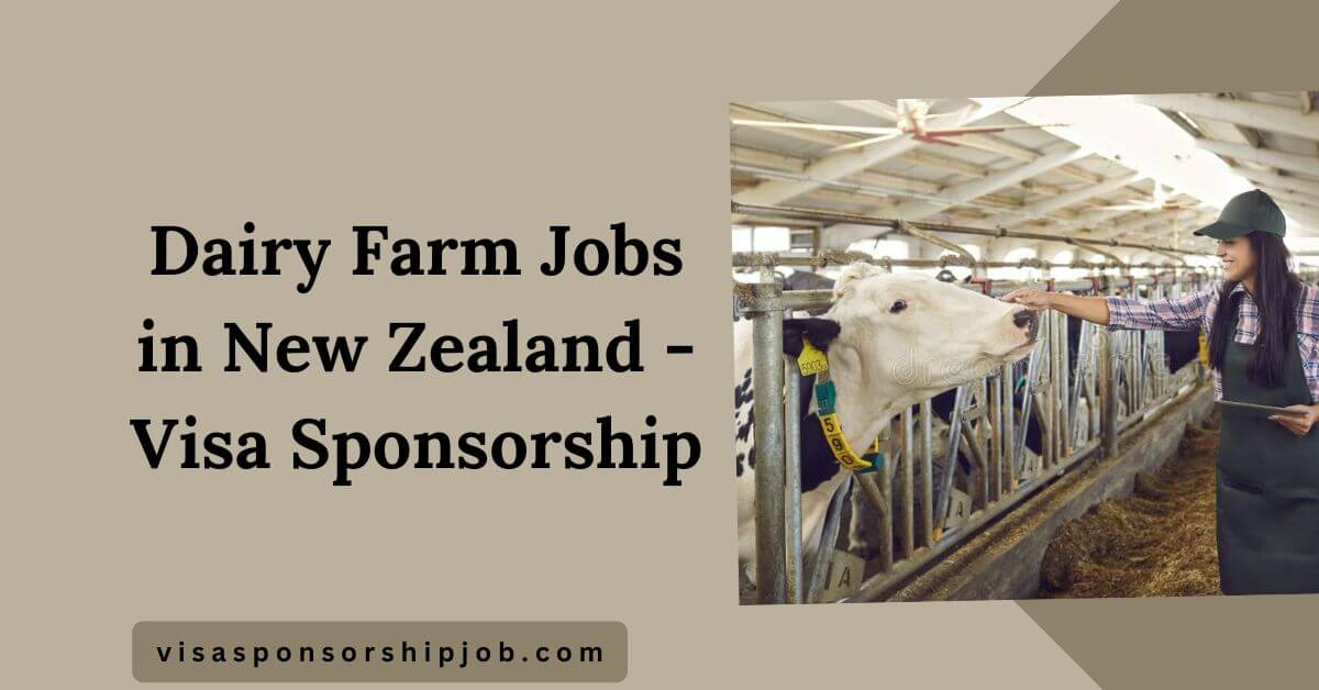 Dairy Farm Jobs in New Zealand - Visa Sponsorship
