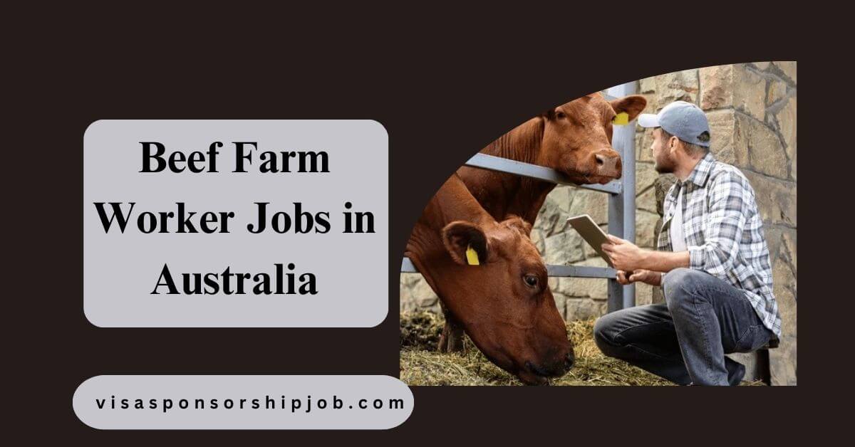 Beef Farm Worker Jobs in Australia