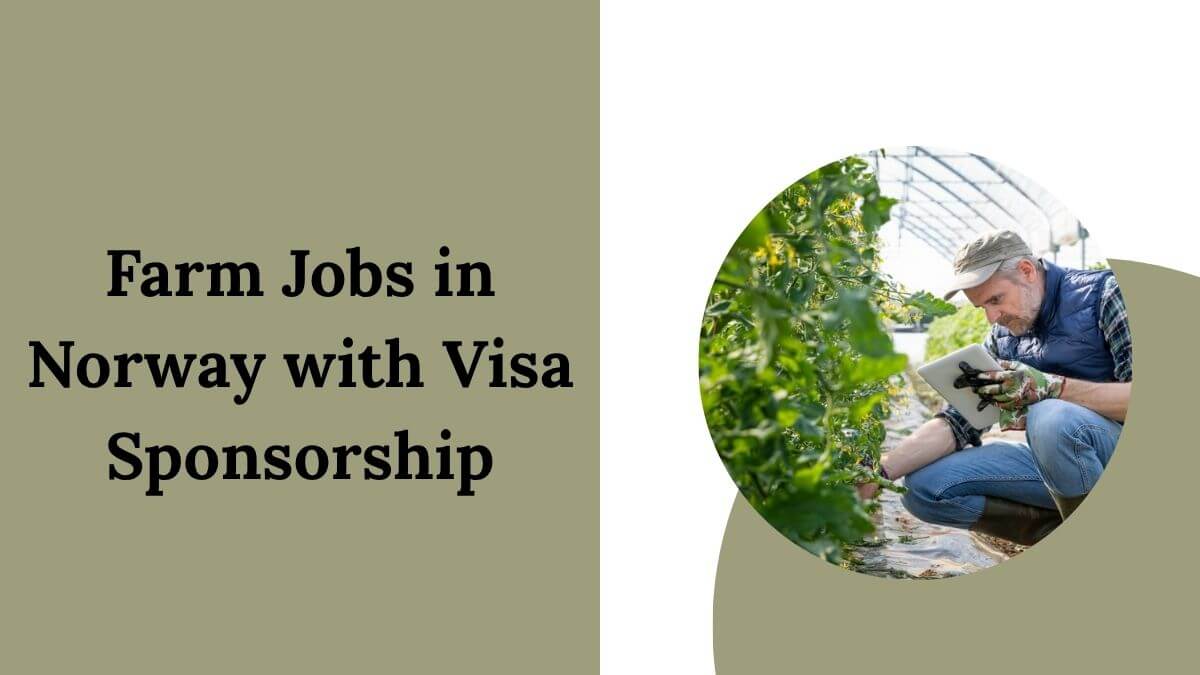 Farm Jobs in Norway with Visa Sponsorship