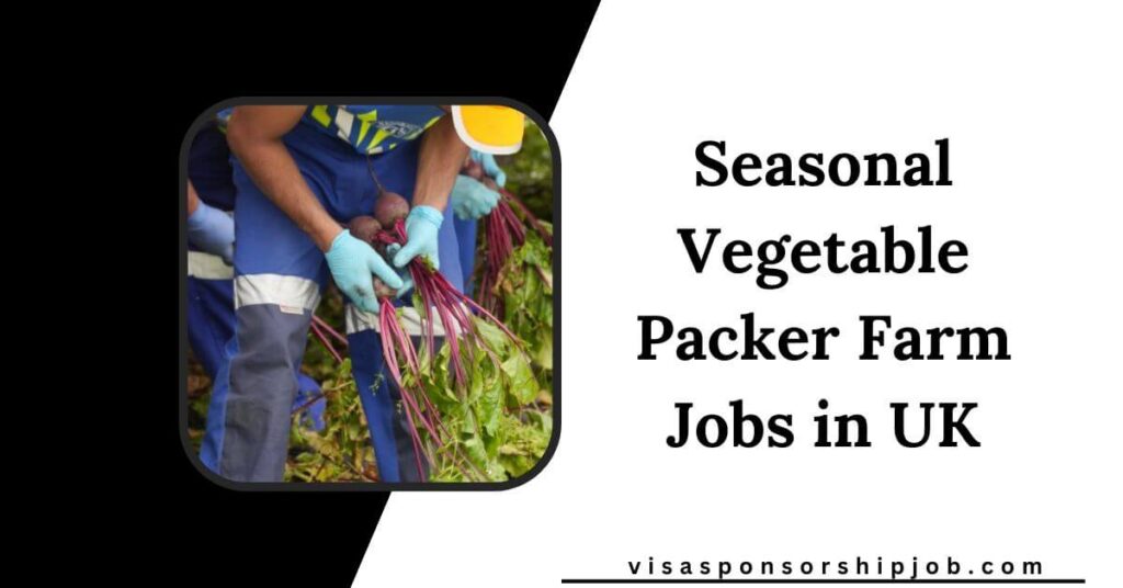 Seasonal Vegetable Packer Farm Jobs in UK
