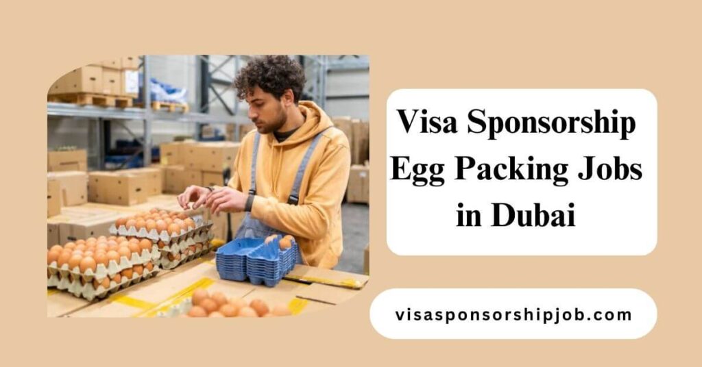 Visa Sponsorship Egg Packing Jobs in Dubai