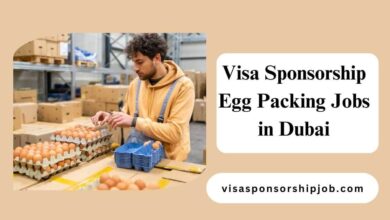 Visa Sponsorship Egg Packing Jobs in Dubai