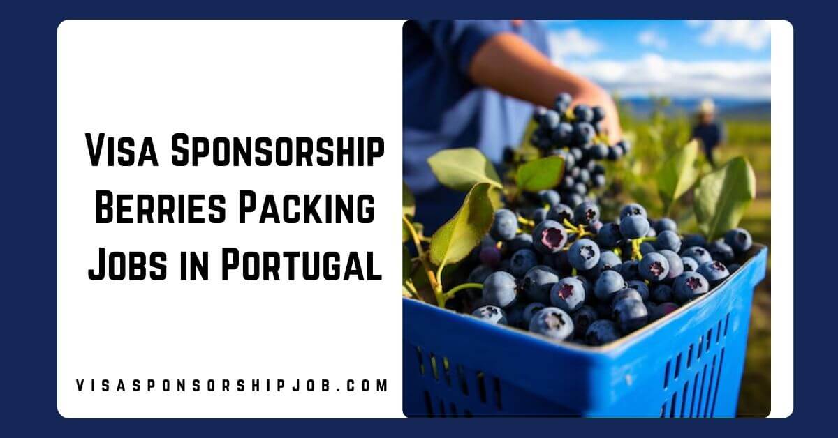 Visa Sponsorship Berries Packing Jobs in Portugal