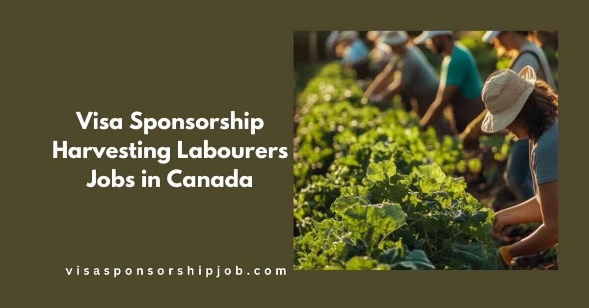 Visa Sponsorship Harvesting Labourers Jobs in Canada