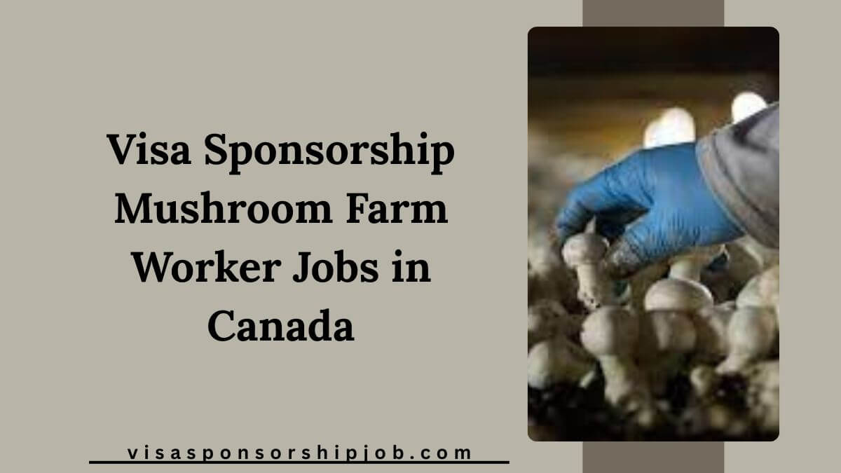 Visa Sponsorship Mushroom Farm Worker Jobs in Canada