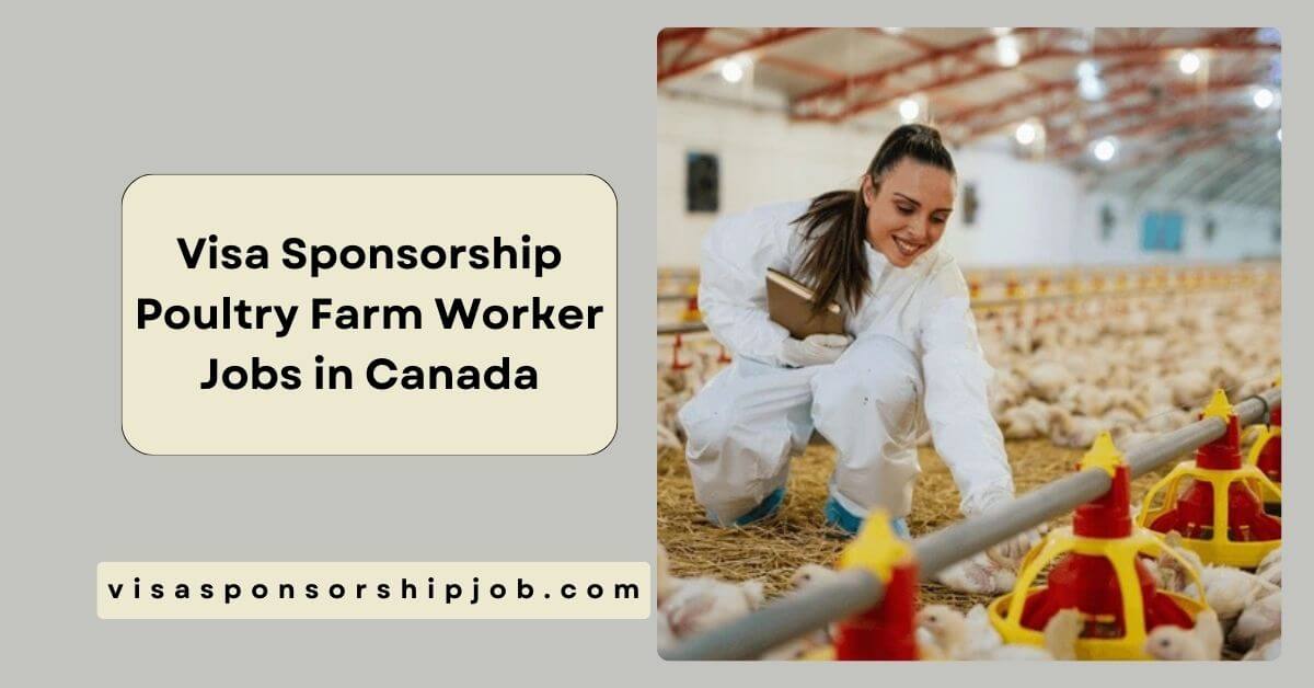 Visa Sponsorship Poultry Farm Worker Jobs in Canada