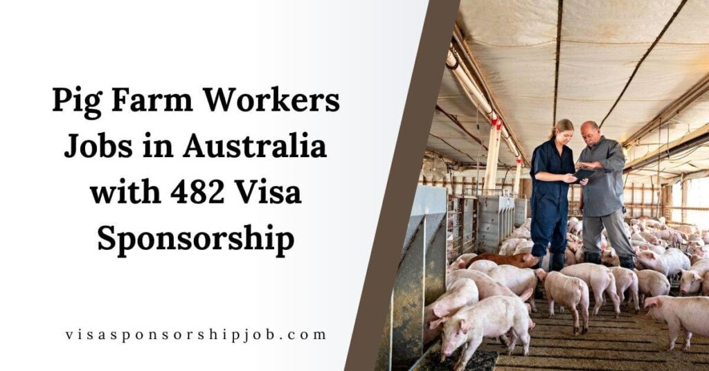 Pig Farm Workers Jobs in Australia with 482 Visa Sponsorship
