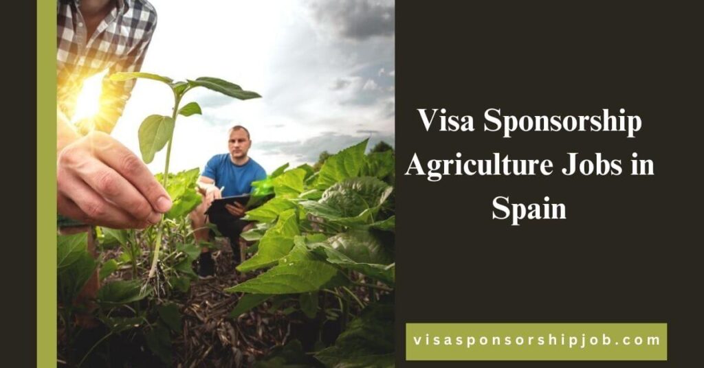 Visa Sponsorship Agriculture Jobs in Spain