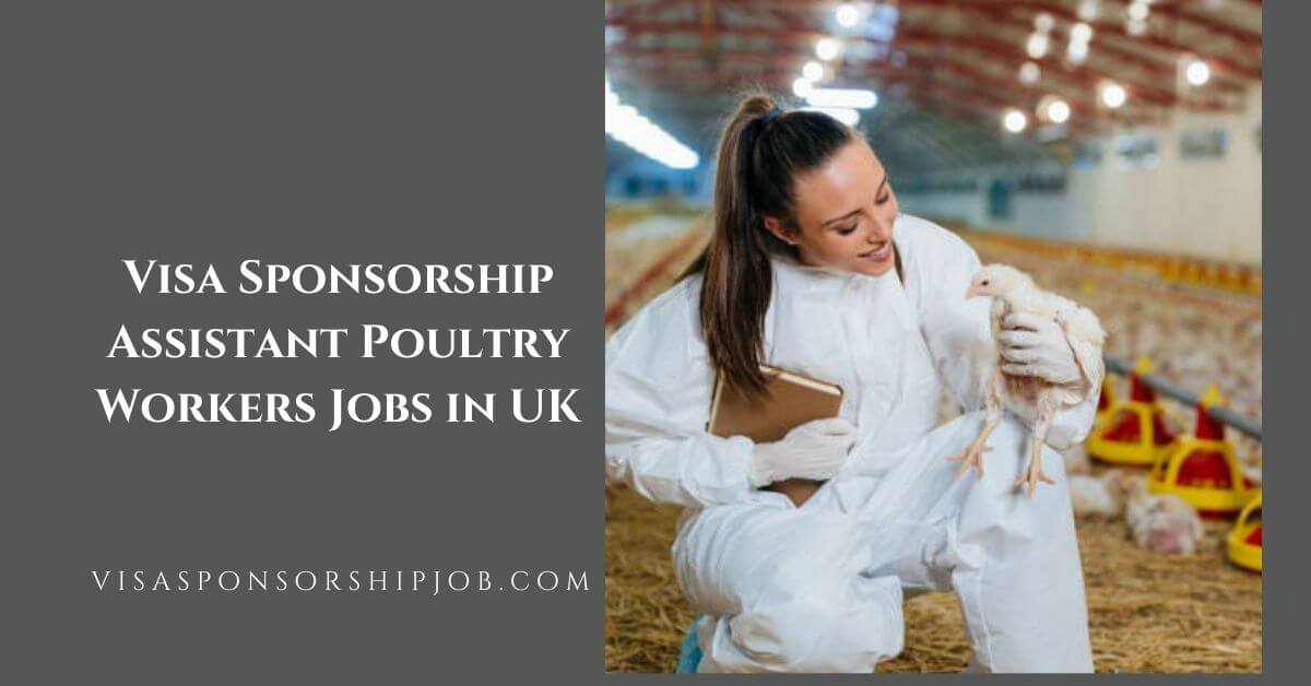 Visa Sponsorship Assistant Poultry Workers Jobs in UK