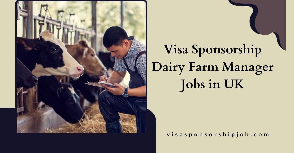 Visa Sponsorship Dairy Farm Manager Jobs in UK