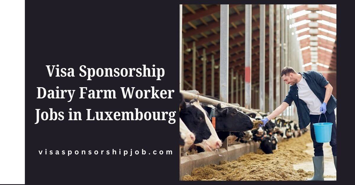 Visa Sponsorship Dairy Farm Worker Jobs in Luxembourg