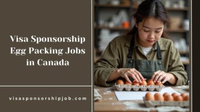 Visa Sponsorship Egg Packing Jobs in Canada