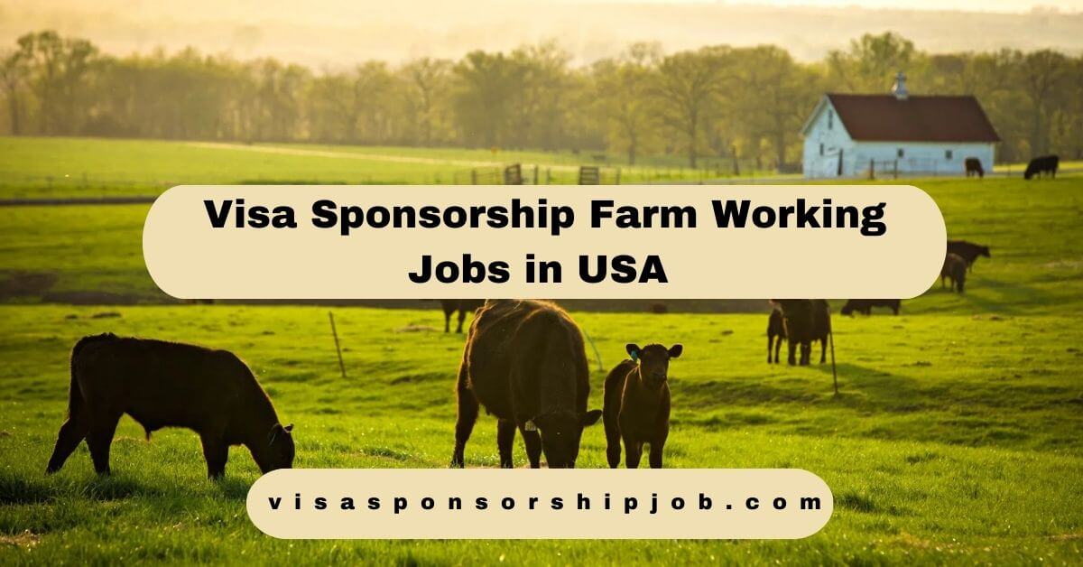 Visa Sponsorship Farm Working Jobs in USA