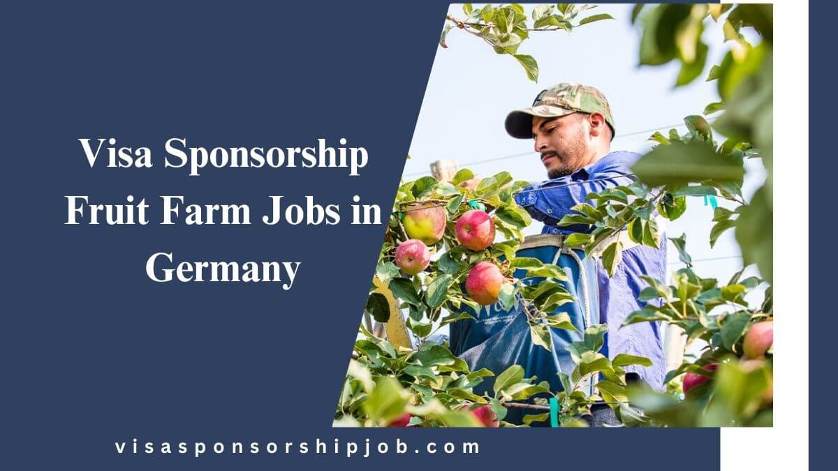 Visa Sponsorship Fruit Farm Jobs in Germany