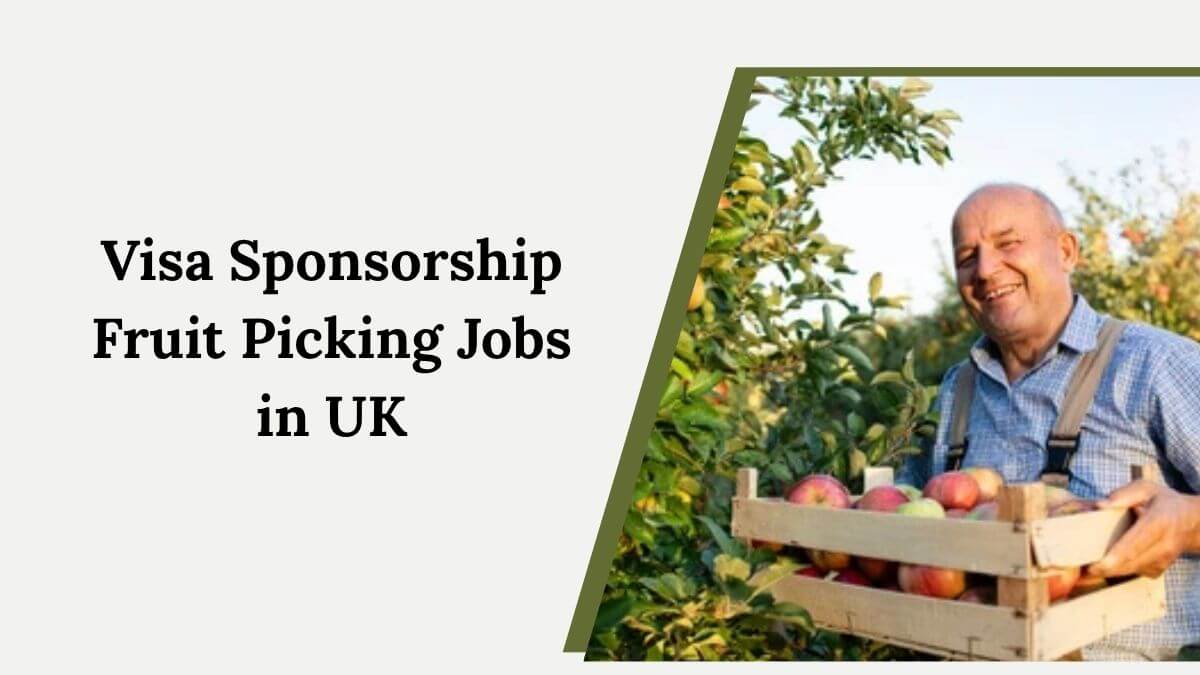 Visa Sponsorship Fruit Picking Jobs in UK