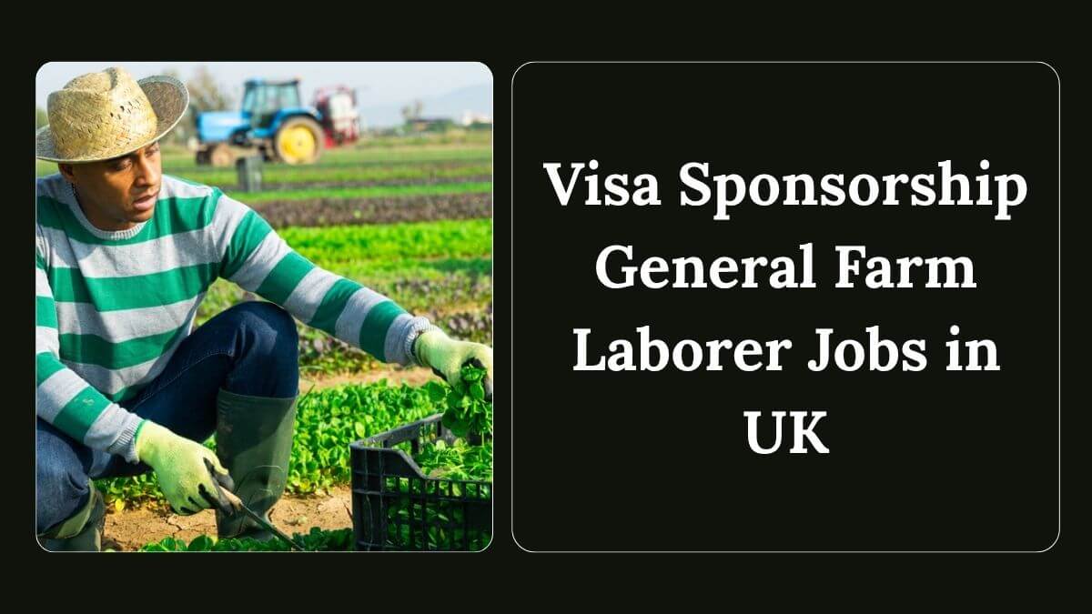 Visa Sponsorship General Farm Laborer Jobs in UK