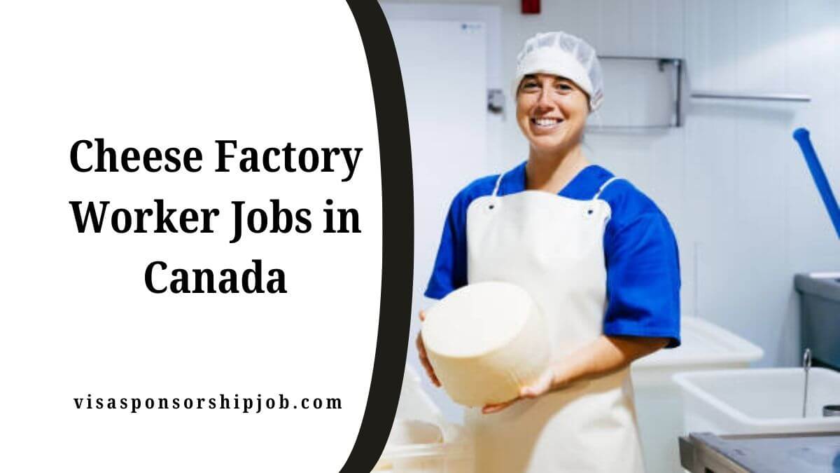 Cheese Factory Worker Jobs in Canada