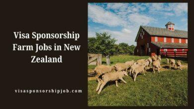 Visa Sponsorship Farm Jobs in New Zealand