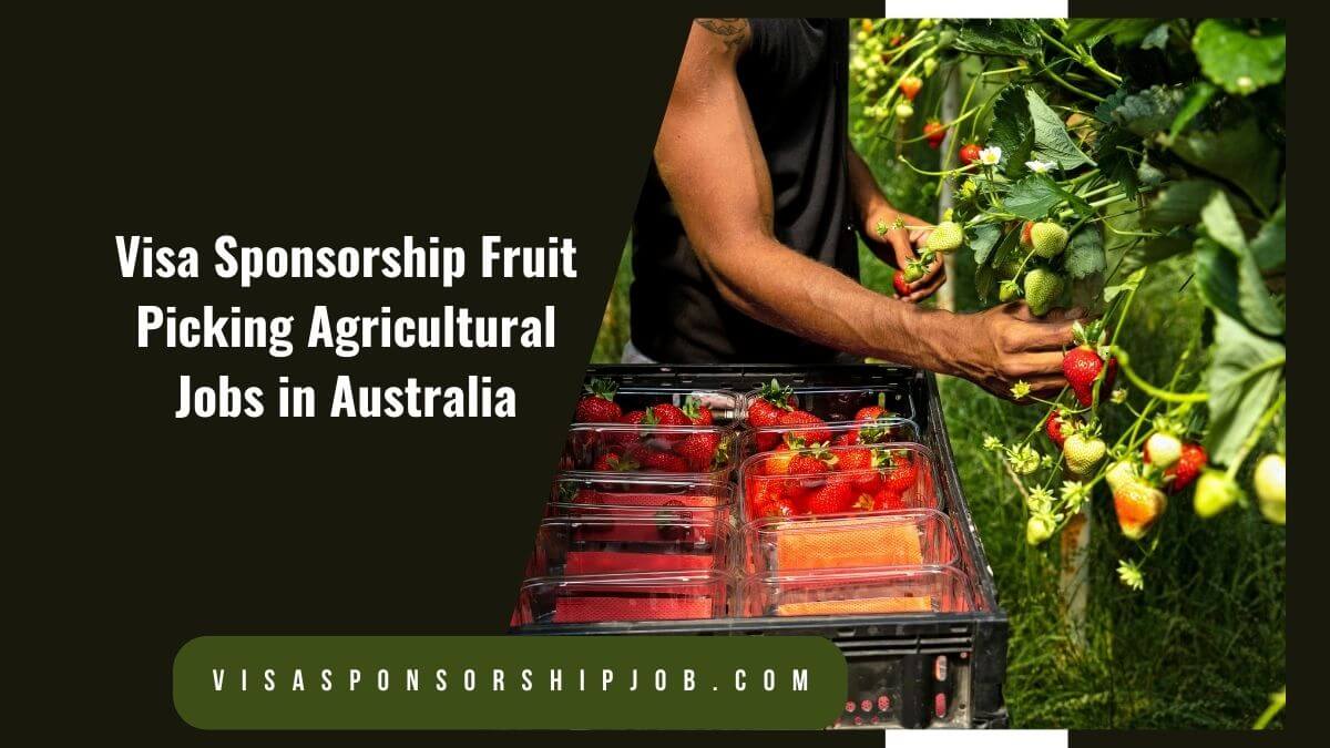 Visa Sponsorship Fruit Picking Agricultural Jobs in Australia