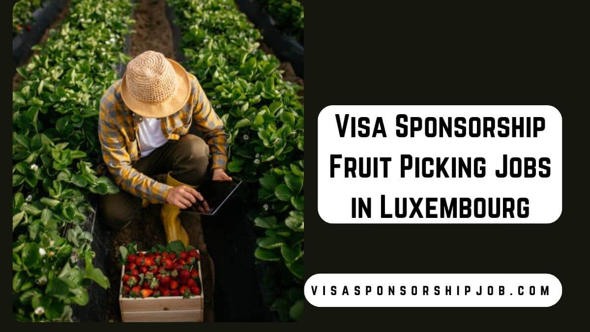 Visa Sponsorship Fruit Picking Jobs in Luxembourg
