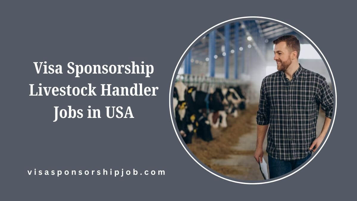 Visa Sponsorship Livestock Handler Jobs in USA